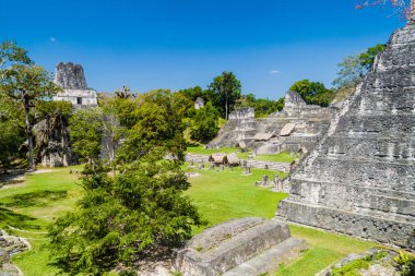 Gran Plaza arkeolojik alanında Tikal, Guatemala