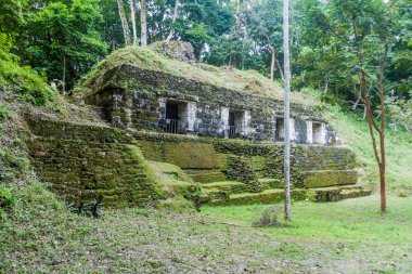 Harabe bir arkeolojik site Yaxha, Guatemala