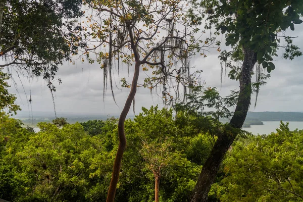 Jungle and Laguna Yaxha lake, Guatemala