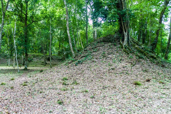 Ruinas Cubiertas Por Una Espesa Selva Sitio Arqueológico Yaxha Guatemala — Foto de Stock