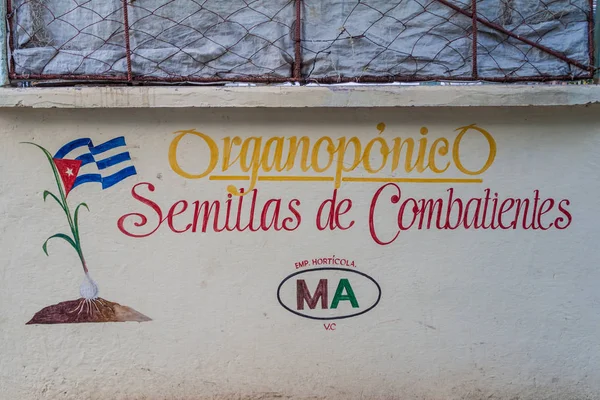 Santa Clara, Cuba - 13 Şubat 2016: Propaganda duvar resmi Santa Clara, Küba'da. O says: savaşçıları tohumları. Metin bir sebze Bahçe Duvar için Küba Devrimi ifade eder..