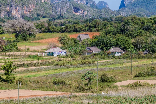 Tarım manzara Vinales vadinin, Küba
