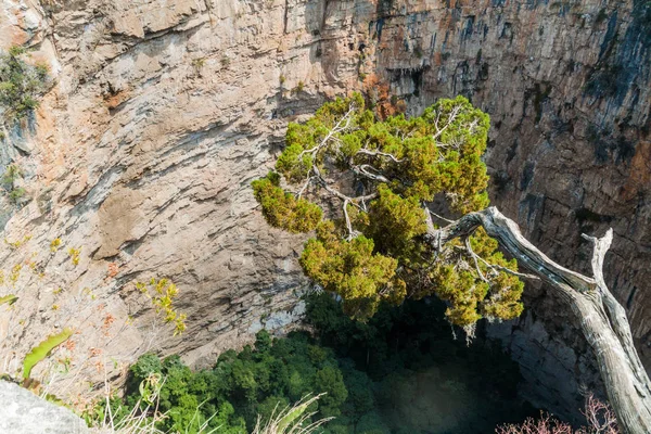 Hoyo Cimarron, hipotermik (Düden) kuzeybatı Guatemala