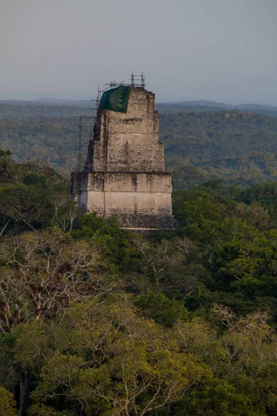 Tapınak Iii Arkeolojik Alanında Tikal Guatemala — Stok fotoğraf