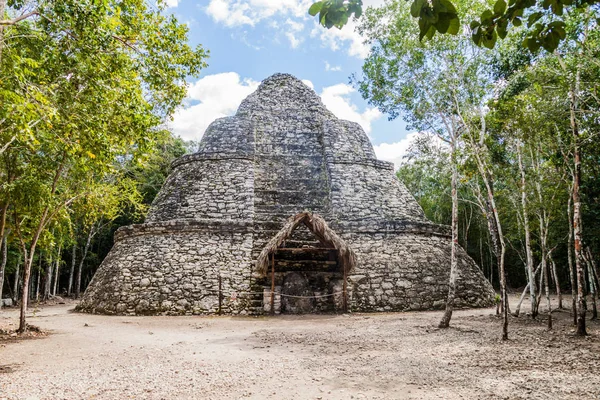 Coba Meksika Maya Şehir Kalıntıları Resimlere Tapınağı — Stok fotoğraf