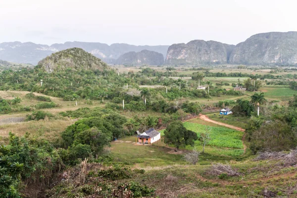 Vista Matutina Del Valle Vinales Con Mogotes Colinas Piedra Caliza — Foto de Stock