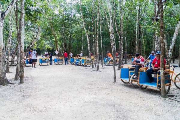 Coba Mexique 1Er Mars 2016 Les Cyclistes Pedi Trikes Attendent — Photo