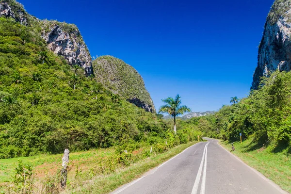 Дорога Долине Виналес Между Моготами Куба — стоковое фото