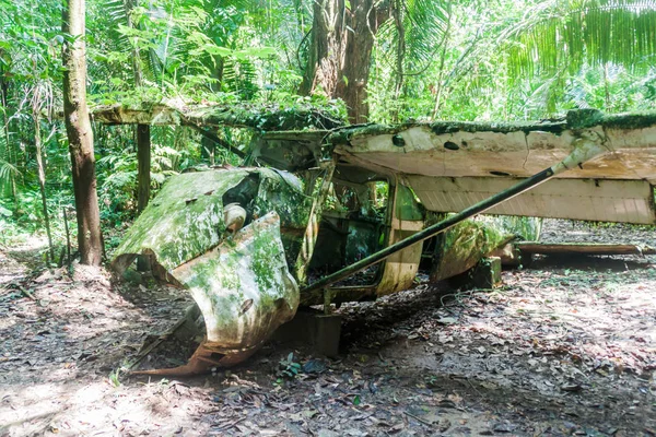 Cockscomb Havzası yaban hayatı kutsal, Belize uçak kazasında. Dr. Alan Rabinowitz, biyolog Jaguarlar eğitim ile bu uçak düştü.