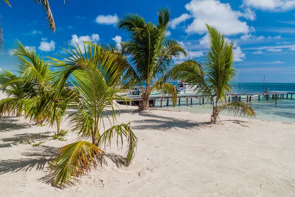 Пальмы Пляж Острове Кей Кейкер Белиз — стоковое фото