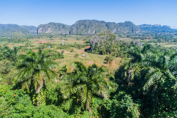 Paisaje Escénico Del Valle Vinales Cuba — Foto de Stock