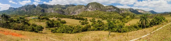 Panoráma Guasasa Völgy Közelében Viñales Kubai — Stock Fotó