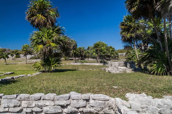 Ruiny Starożytnego Miasta Majów Tulum Meksyk — Zdjęcie stockowe