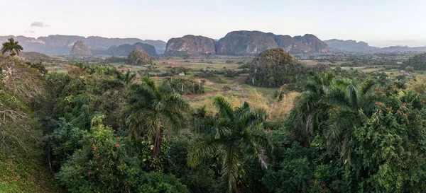 Vista Matutina Del Valle Vinales Con Montañas Mogote Cuba — Foto de Stock