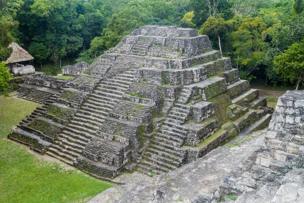 Kuzey Acropolis adlı sit alanı Yaxha, Guatemala, piramit