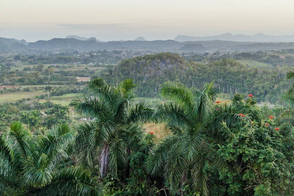 Sabah görünümü Vinales vadinin mogote Dağları, Küba ile