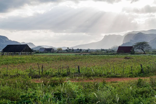 Guasasa Vadisi Vinales, Cuba yakınındaki kırsal manzara