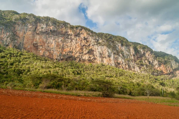 Mogotes Kalker Tepe Alanları Guasasa Vadisi Nde Vinales Küba Yakın — Stok fotoğraf