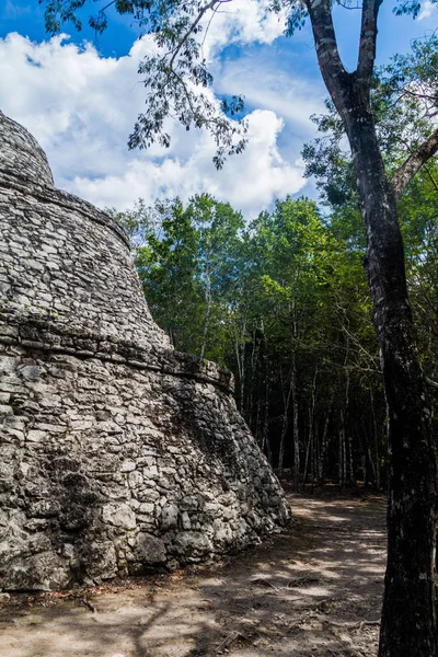 Coba, Meksika Maya şehir kalıntıları resimlere Tapınağı