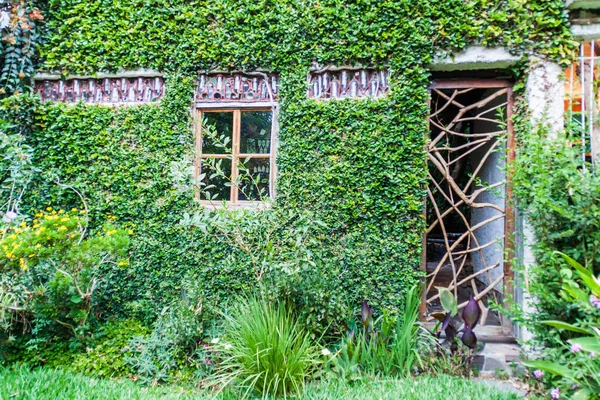San Marcos La Laguna, Guatemala - 24 Mart 2016: Hotel Aaculaax, San Marcos La Laguna Köyü yemyeşil bahçeleri.