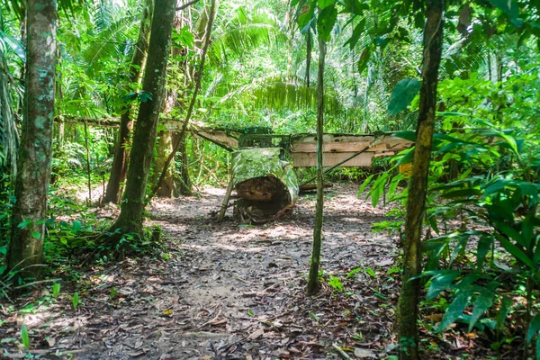 Choque Avión Santuario Vida Silvestre Cockscomb Basin Belice Este Avión —  Fotos de Stock