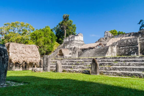 Harabeleri Gran Plaza Arkeolojik Alanında Tikal Guatemala — Stok fotoğraf