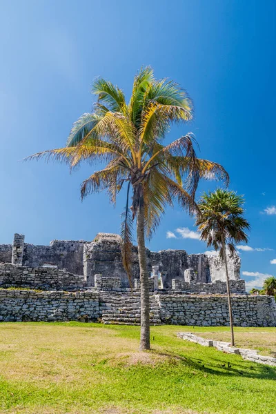 Harabeleri antik Maya kentin Tulum, Meksika