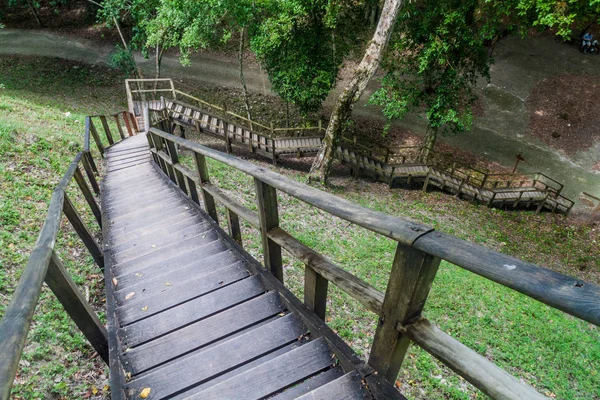 Escaliers Menant Aux Ruines Couvertes Par Jungle Épaisse Sur Site — Photo
