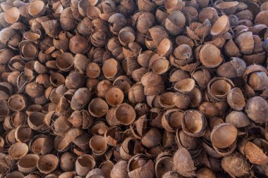 Arka plan arka plan üzerine Hindistan cevizi kabuğu