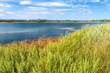 Laguna Coba Gölü Coba, Meksika'nın Mayan ruins yakınındaki