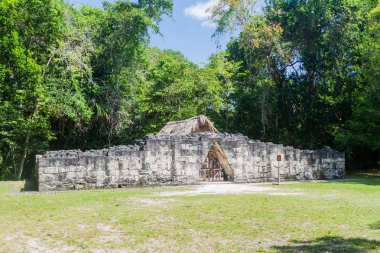 Kalesi'nde arkeolojik Tikal, Guatemala