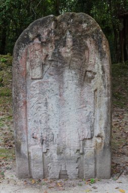 Stela arkeolojik alanında Tikal, Guatemala
