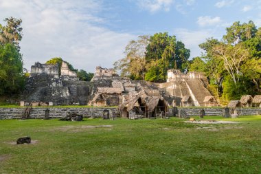 Gran Plaza arkeolojik alanında Tikal, Guatemala
