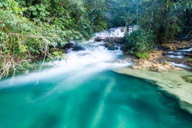 Nehir kenarında Laguna Brava (Yolnabaj) Gölü, Guatemala