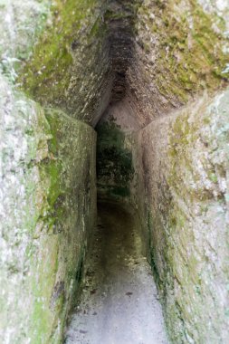 Kalesi'nde arkeolojik Tikal, Guatemala