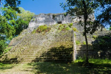 Karmaşık P arkeolojik alanında Tikal, Guatemala
