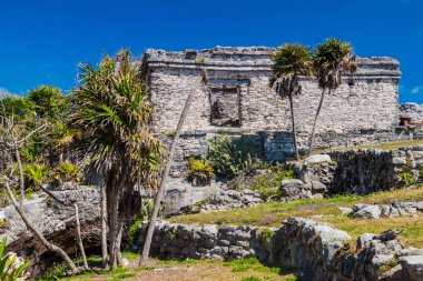 Harabeleri antik Maya kentin Tulum, Meksika