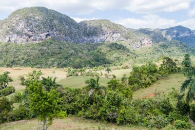 Guasasa Vadisi Vinales, Cuba yakınındaki görünümünü