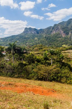 Guasasa Vadisi Vinales, Cuba yakınındaki görünümünü