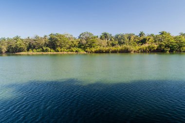 Baracoa, Küba yakınındaki Rio Toa Nehri'nin ağzında
