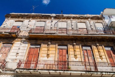 Havana Centro mahalle, Havana, yavrusu dökük