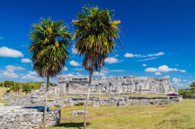 Harabeleri antik Maya kentin Tulum, Meksika