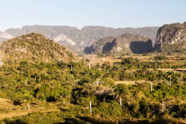 Sabah görünümünü Vinales Vadisi ile mogotes (kalker tepe), Küba