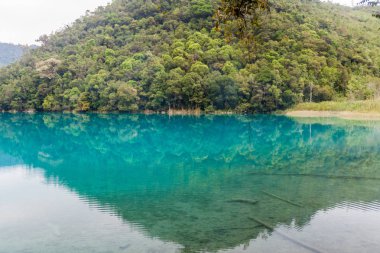 Laguna Brava (Yolnabaj) Gölü, Guatemala