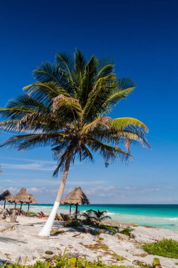 Tulum, Meksika için mükemmel Caribbean beach