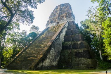 Tapınak V arkeolojik alanında Tikal, Guatemala