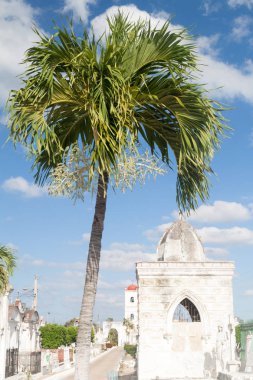 Mezarlıkta Camagüey, Cuba