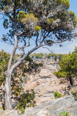 Hoyo Cimarron, hipotermik (Düden) kuzeybatı Guatemala