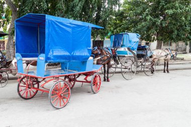 Horse carriages are very common mean of transport in Bayamo, Cuba clipart