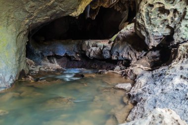 Küba, Vinales yakınlarındaki Cueva del Palmarito mağarası.